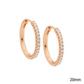 Classic Hoop Earrings