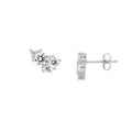 Claw Cluster Earrings